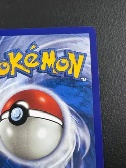 Pokemon PLACEHOLDER Gyarados Skyridge | ENGLISH H10/H32 TCG FANMADE Holo - Image 4