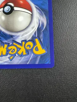 Pokemon PLACEHOLDER Gyarados Skyridge | ENGLISH H10/H32 TCG FANMADE Holo - Image 5