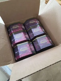 Pokemon TCG: Mega Moonlit Tins - Assortment Sealed case of 6 - Image 1