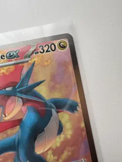 Salamence ex 187/159 Journey Together Special Illustration Rare SIR Pokemon NM - Image 2