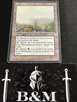 MTG Magic the Gathering Brushland Ice Age HP foreign - Image 1