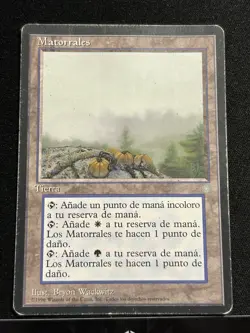 MTG Magic the Gathering Brushland Ice Age HP foreign - Image 3
