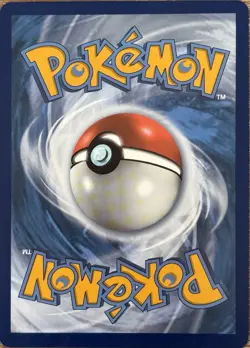 Raikou 050/185 Pokemon TCG SWSH: Vivid Voltage LP - Image 2