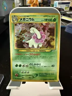 3 Set Meganium Typhlosion Feraligatr Neo Premium File Holo Japanese Pokemon Card - Image 5
