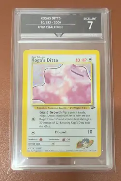 Kogas Ditto 10/132 Gym Challenge Holo - Pokemon Card - get graded 7 Excellent - Image 1