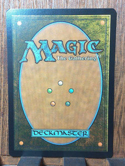❤MTG Hew the Entwood ( Borderless Poster ) The Lord of the Rings. NM😍❤ - Image 4