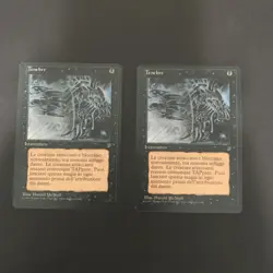 2x MTG Darkness (Tenebre) MP Italian language Legends Magic the gathering - Image 3