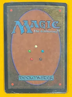 MTG APAC Land CLEAR Pack Sealed (OldManMTG 007-261) - Image 2