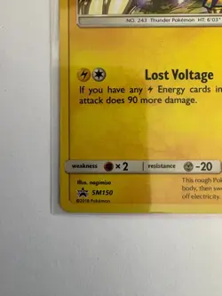 2018 Pokemon Raikou SM150 Lost Thunder Prerelease Stamped Holo Promo NM - Image 4
