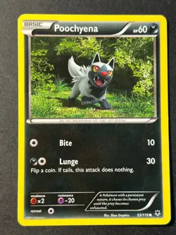 Poochyena 53/119 XY Phantom Forces - Pokemon Card LP - Image 1