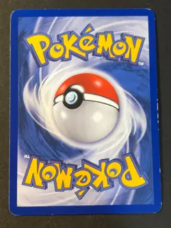 Torchic 73/109 Common EX Ruby & Sapphire Pokemon Card LP - Image 2