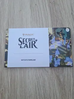 MTG Secret Lair Witch's Familiar - Non Foil- Magic The Gathering - READY TO SHIP - Image 1
