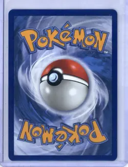 The Pokemon Company Litten 044 McDonald's Collection 2022 Holo English 70 HP - Image 2