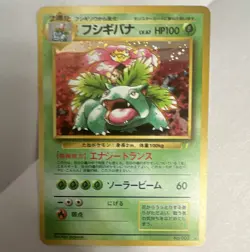 Venasuar holo CD promo #003 pokemon card Japanese - Image 1