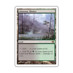 WOTC MtG 9th Ed Llanowar Wastes (R) NM - Image 1