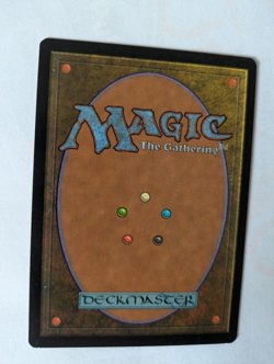 Coat of Arms Exodus MTG NM Free shipping with tracking - Image 2