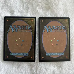 MTG: Forest (0291) x2 The Lost Caverns of Ixalan Foil - Image 2