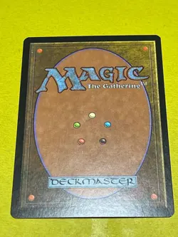 Forest (348) FOIL Invasion NM Basic Land MAGIC THE GATHERING MTG CARD - Image 2