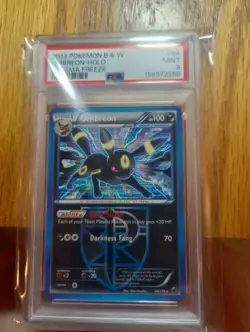 Pokemon TCG Umbreon Team Plasma 64/116 Plasma Freeze Holo PSA 9 2013 - Image 1