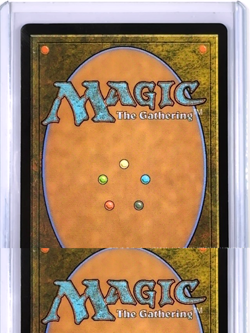 2025 MTG Magic The Gathering TDM Tarkir Dragonstorm Foil #109 Iridescent Tiger - Image 2