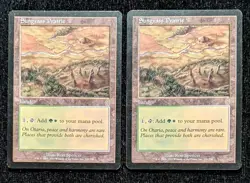 2001 Magic MTG Odyssey Sungrass Prairie x2 NM8 - Image 1