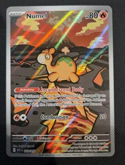 Pokemon TCG Numel 223/217 Ascended Heroes Illustration Rare NM Card - Image 1