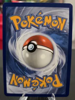Pokemon TCG Numel 223/217 Ascended Heroes Illustration Rare NM Card - Image 4