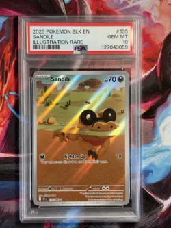 2025 POKEMON EN BLACK BOLT SANDILE #135 ILLUSTRATION RARE PSA 10 GEM MINT POP 60 - Image 1