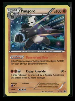 Pangoro - XY50 - Holo Promo - XY Promos - MP - Pokemon - Image 1