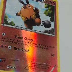Pokemon TCG Black & White Tepig 15/114 & Pignite 17/114 Rev Holo Lot (2) MP - Image 4