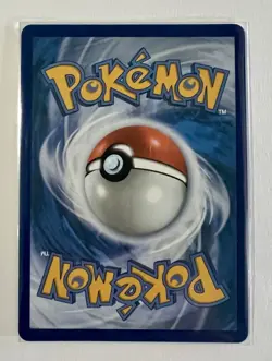 Pokemon TCG Mega Gengar EX 073 Black Star Promo Mega Moonlit Tin NM - Image 2