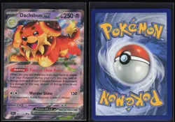 Dachsbun ex 67/142 Stellar Crown Near Mint Double Rare Pokemon Holo - Image 1