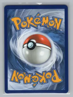 Tepig - 050 ME: Mega Evolution Promo NM Pokemon TCG Promo - Image 2
