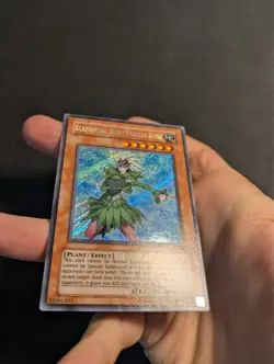 Yugioh Elemental Hero Poison Rose PP02-EN006 Secret Rare VLP! - Image 4