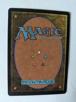 French Survival of the Fittest Exodus MTG NM Free shipping with tracking - Image 2