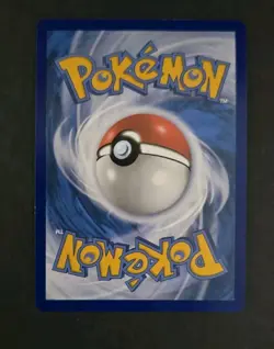 Sprigatito HOLO PROMO card 013/198 Scarlet & Violet Base Set 2023 Pokemon - Image 2