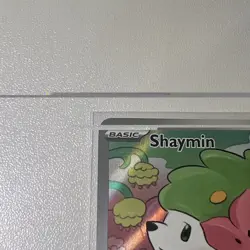 Shaymin 185/182 (Illustration Rare) IR : Pokemon Destined Rivals Holo Near Mint - Image 3