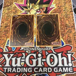 Yugioh - Amazoness Swords Woman SGX3-END02 1st Edition SECRET NM X2 - Image 4