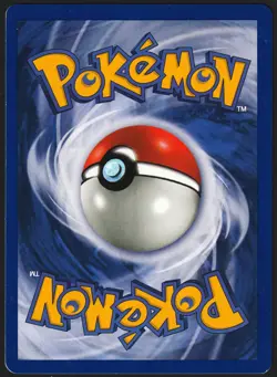 Zapdos 2000 Pokemon Black Star Non-Holo WOTC Promo #23 (MP-LP) 🔥 - Image 2