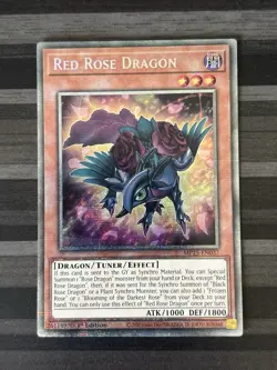 Yugioh | Red Rose Dragon | MP25 | Starlight Rare | 1st Edition | NM - Image 1