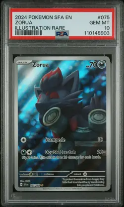 PSA 10 Zorua 075/064 IR Illustration Rare Shrouded Fable SFA Pokemon Card - Image 1