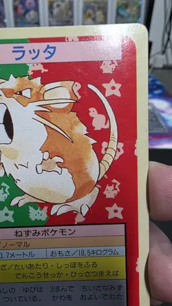 Pokemon Carddass Card Topsun No. 20 Raticate Pocket Monsters Green Back - Image 2