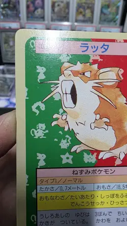 Pokemon Carddass Card Topsun No. 20 Raticate Pocket Monsters Green Back - Image 3