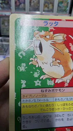 Pokemon Carddass Card Topsun No. 20 Raticate Pocket Monsters Green Back - Image 4