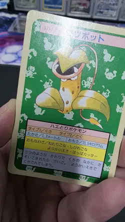 Pokemon Carddass Card Topsun No. 71 Victreebel Pocket Monsters Green Back - Image 3