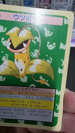 Pokemon Carddass Card Topsun No. 71 Victreebel Pocket Monsters Green Back - Image 4