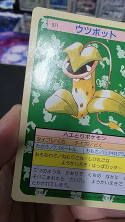 Pokemon Carddass Card Topsun No. 71 Victreebel Pocket Monsters Green Back - Image 5
