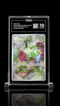 Sprigatito 196/193 Illustration Rare - Paldea Evolved ETB Pokemon TCG - TAG 10 - Image 1
