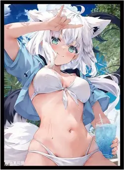 Hololive Shirakami Fubuki Doujin Card Sleeve Protector - Image 1