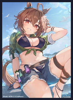 Uma Musume : Pretty Derby Agnes Tachyon Doujin Card Sleeve Protector - Image 1